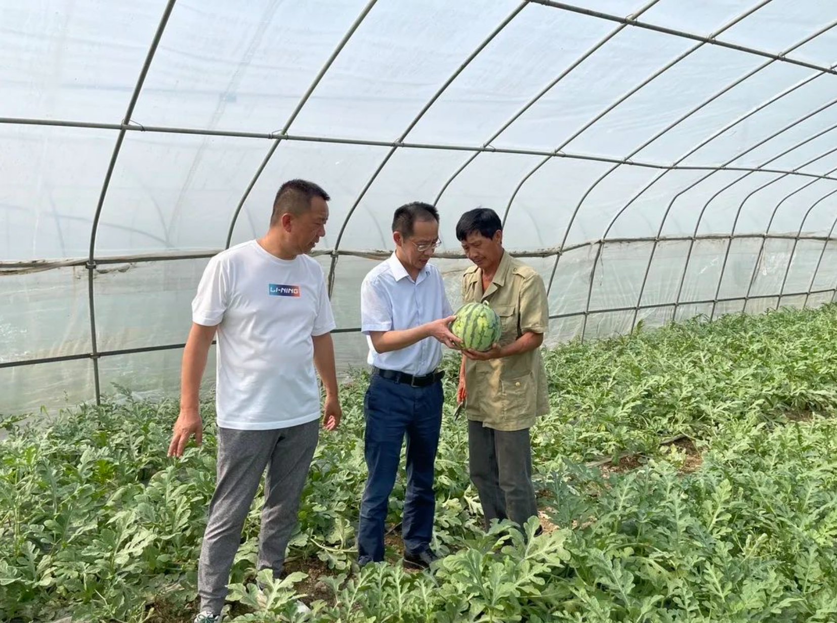 西瓜情緣，“甜蜜”幫扶助農增收