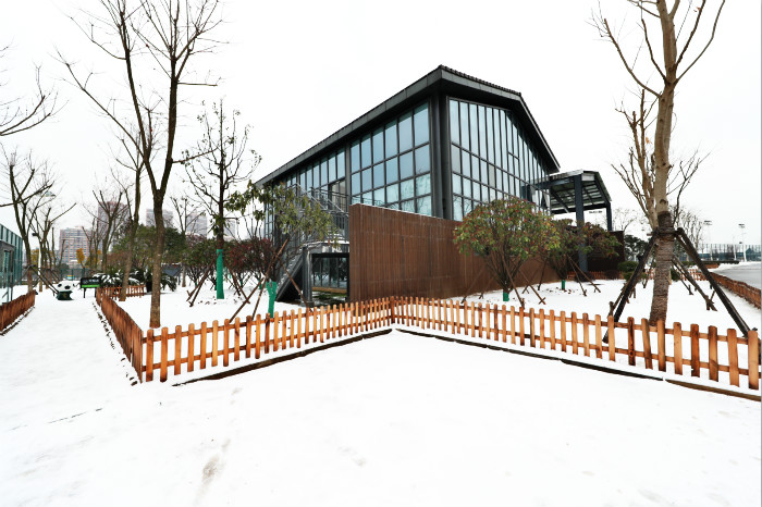 一場雪，體育中心美得不要不要的 但最美的風景還是他們(圖1)