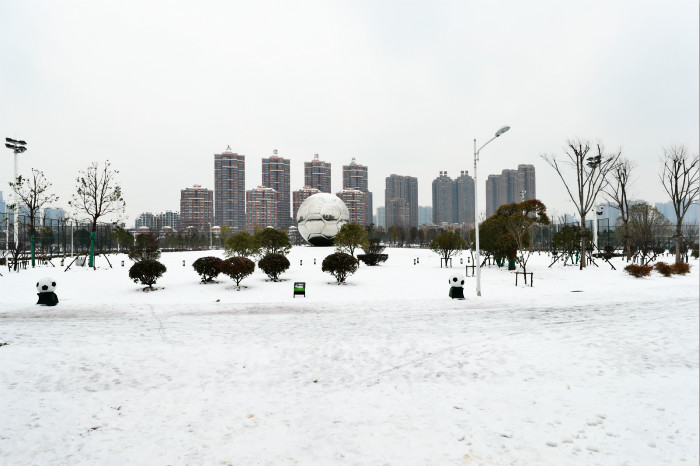 一場雪，體育中心美得不要不要的 但最美的風景還是他們(圖2)