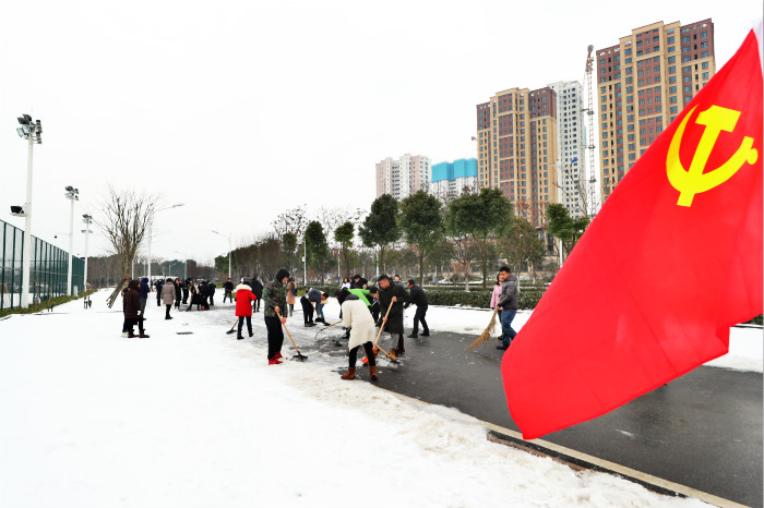 一場雪，體育中心美得不要不要的 但最美的風景還是他們(圖7)