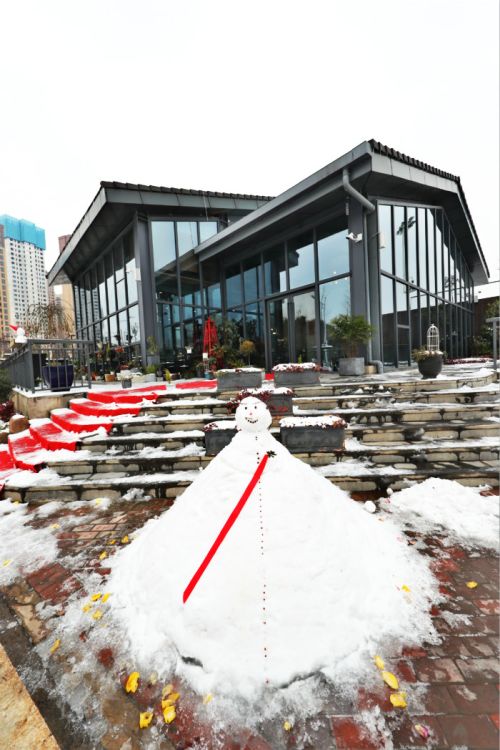 一場雪，體育中心美得不要不要的 但最美的風景還是他們(圖11)
