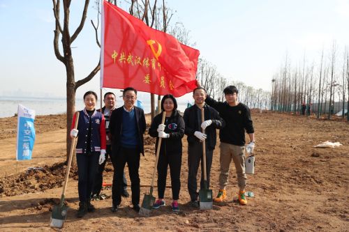 公司領導參加全區義務植樹活動(圖2)
