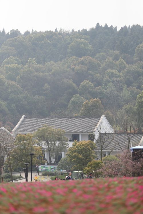 “與軍運同行”徒步活動上演“快閃”  武漢體育中心作為企業代表隊第一方陣登場(圖3)