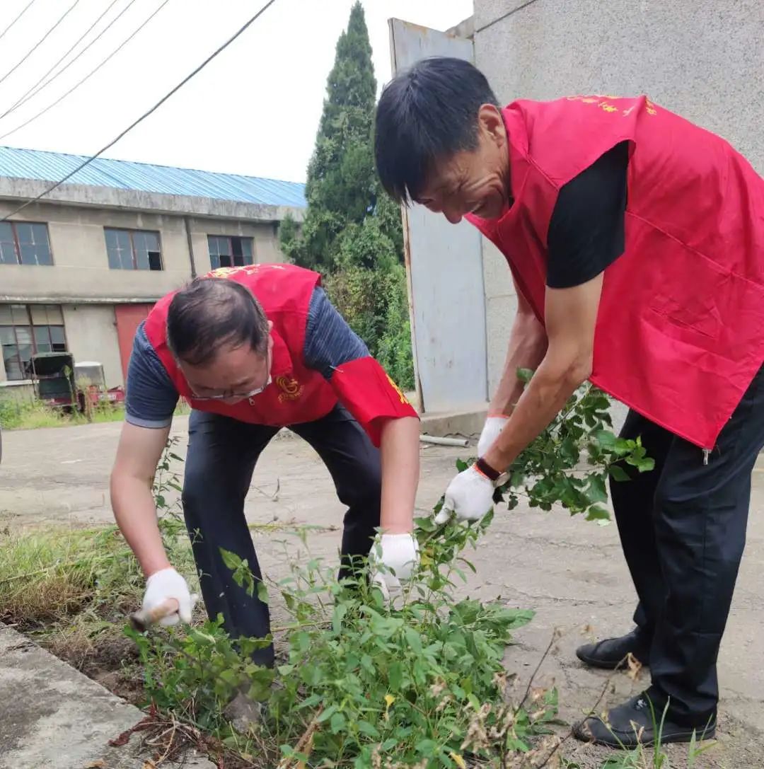 公司黨員下沉社區(qū)開展志愿服務(圖5)